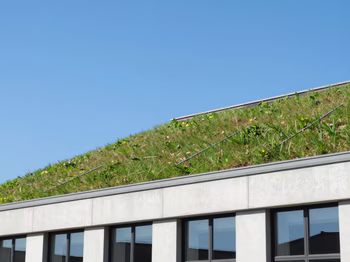 Avis Matmut 2026 : Tarifs, Garanties et Retour d'Expérience Complet